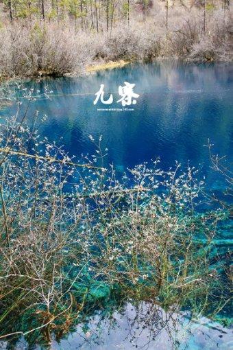 状元榜眼探花联名题刻重现乌山