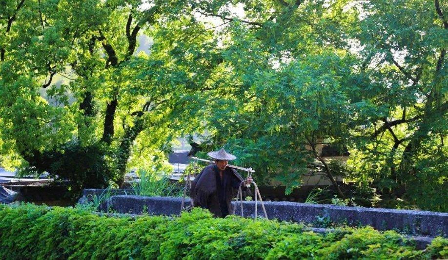 五道家庭必备的素菜,色香味俱全,真的太好吃了!